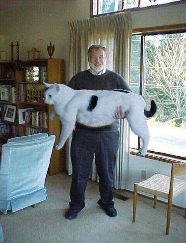 grosse bite minet bite metisse grosse bite minet bite metisse